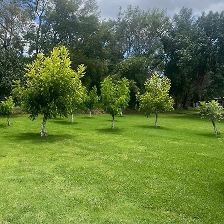 Cabanas Cumbres De Aguacatitla Huasca de Ocampo Ngoại thất bức ảnh