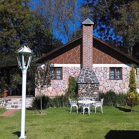 Cabanas Cumbres De Aguacatitla Huasca de Ocampo Ngoại thất bức ảnh