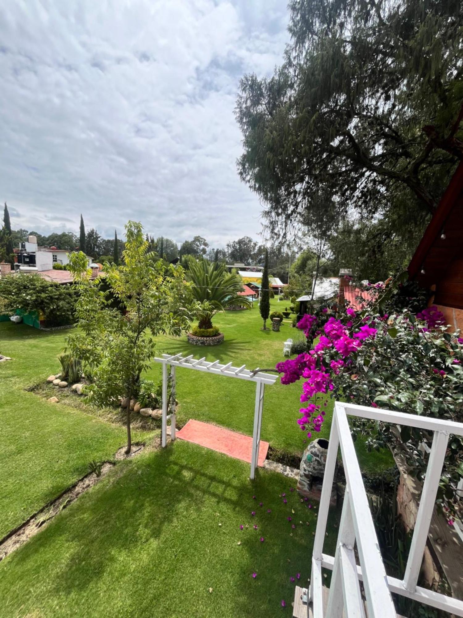 Cabanas Cumbres De Aguacatitla Huasca de Ocampo Ngoại thất bức ảnh