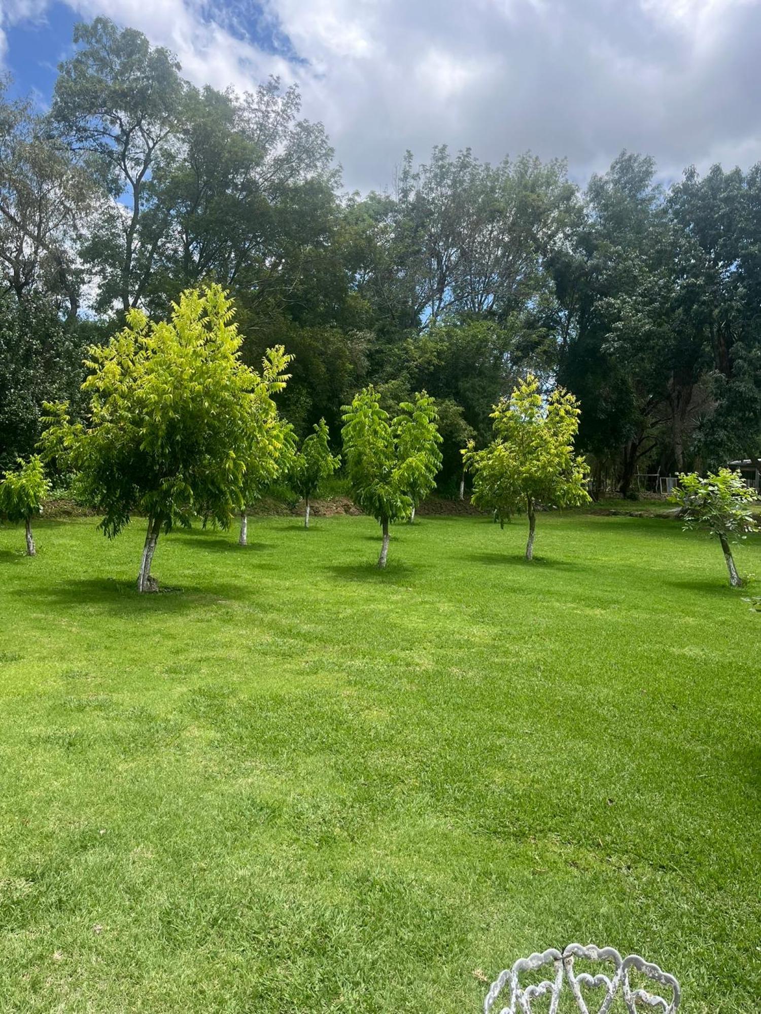 Cabanas Cumbres De Aguacatitla Huasca de Ocampo Ngoại thất bức ảnh