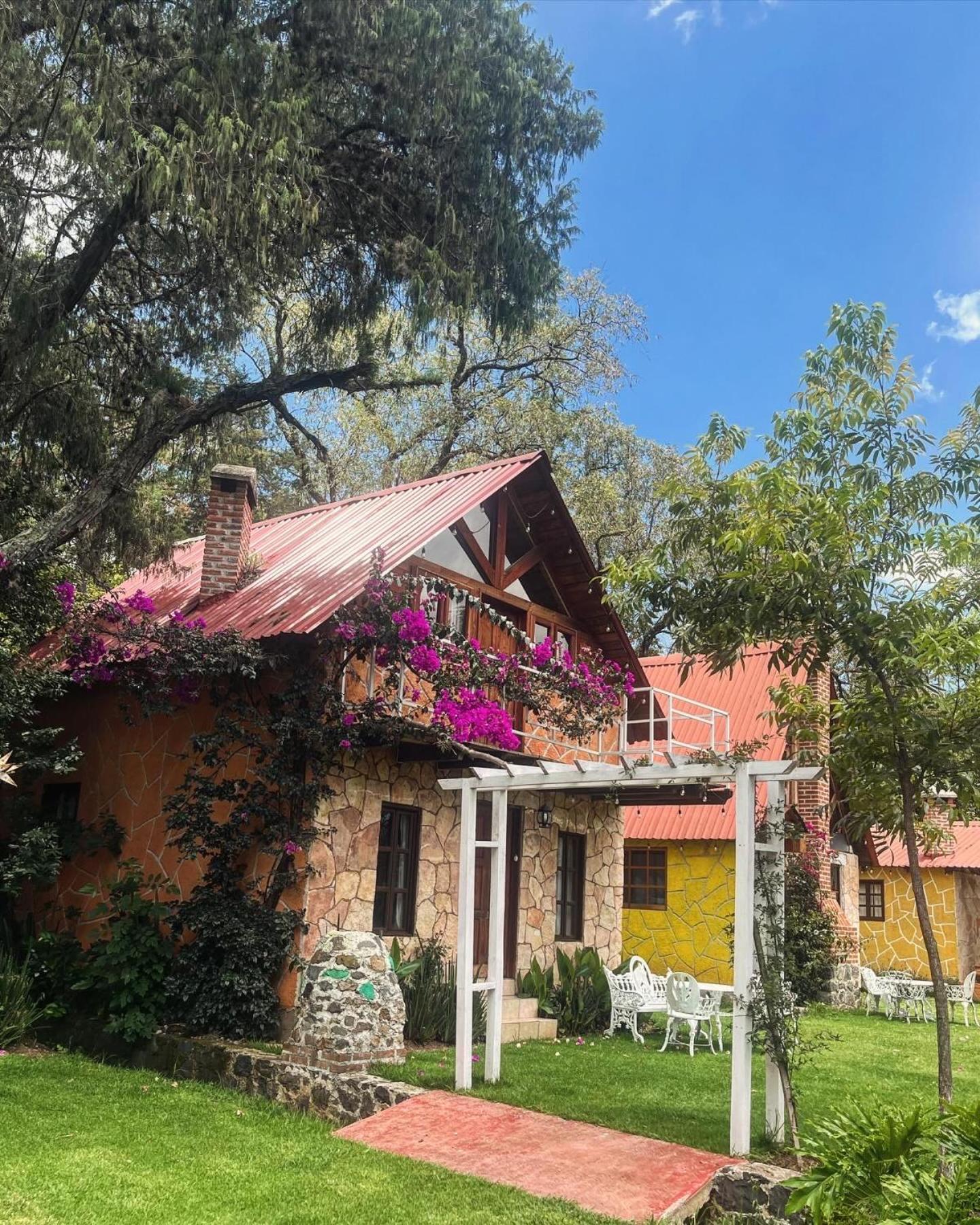 Cabanas Cumbres De Aguacatitla Huasca de Ocampo Ngoại thất bức ảnh