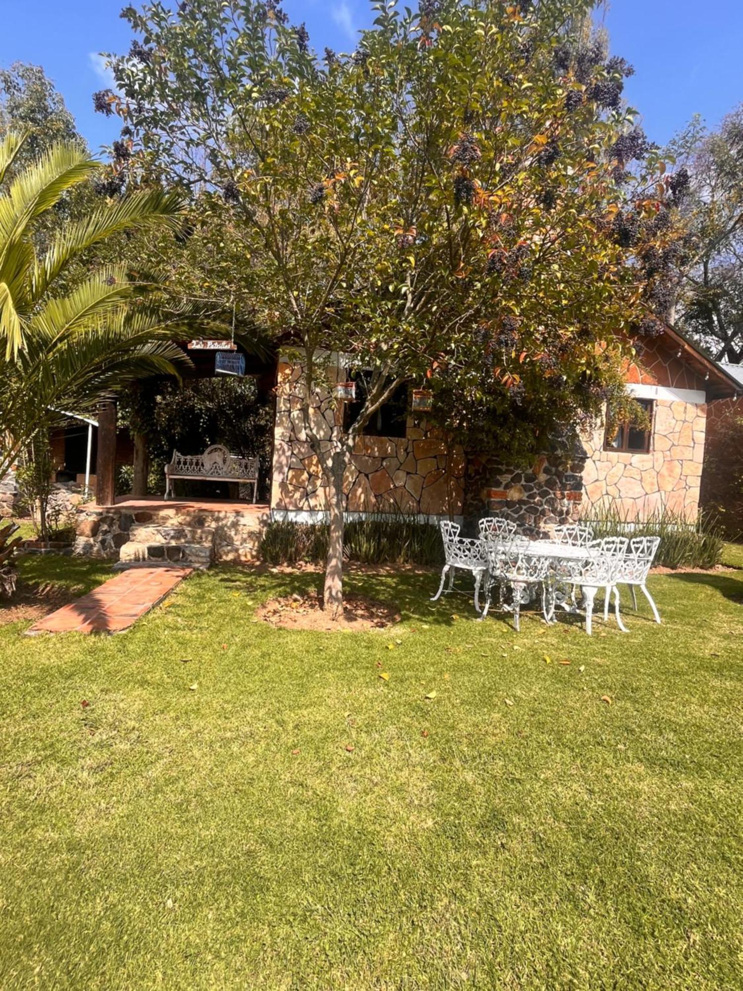 Cabanas Cumbres De Aguacatitla Huasca de Ocampo Ngoại thất bức ảnh
