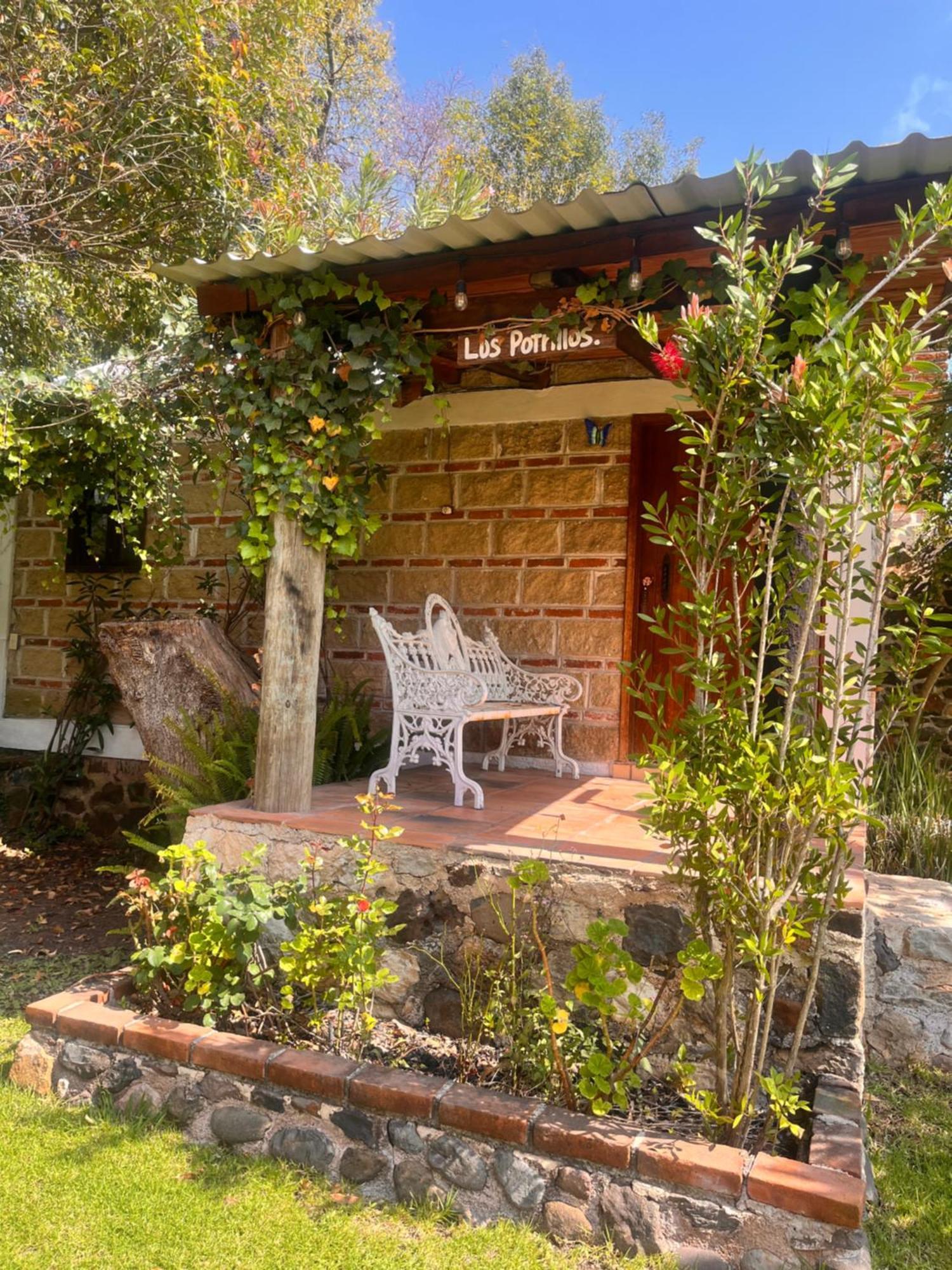 Cabanas Cumbres De Aguacatitla Huasca de Ocampo Ngoại thất bức ảnh