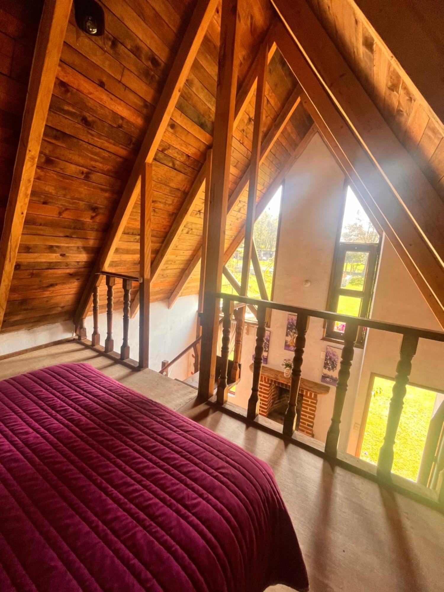 Cabanas Cumbres De Aguacatitla Huasca de Ocampo Ngoại thất bức ảnh