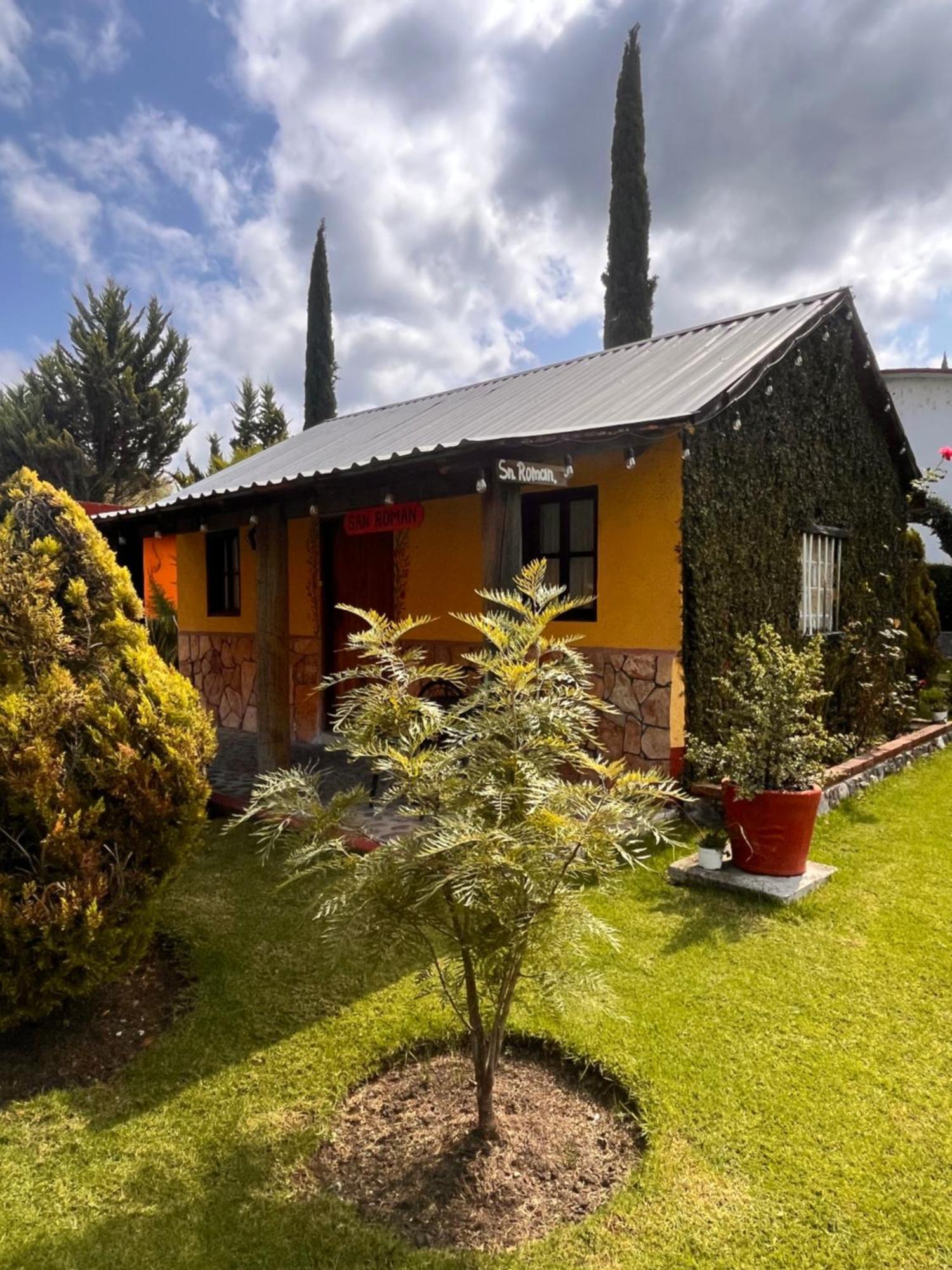 Cabanas Cumbres De Aguacatitla Huasca de Ocampo Ngoại thất bức ảnh