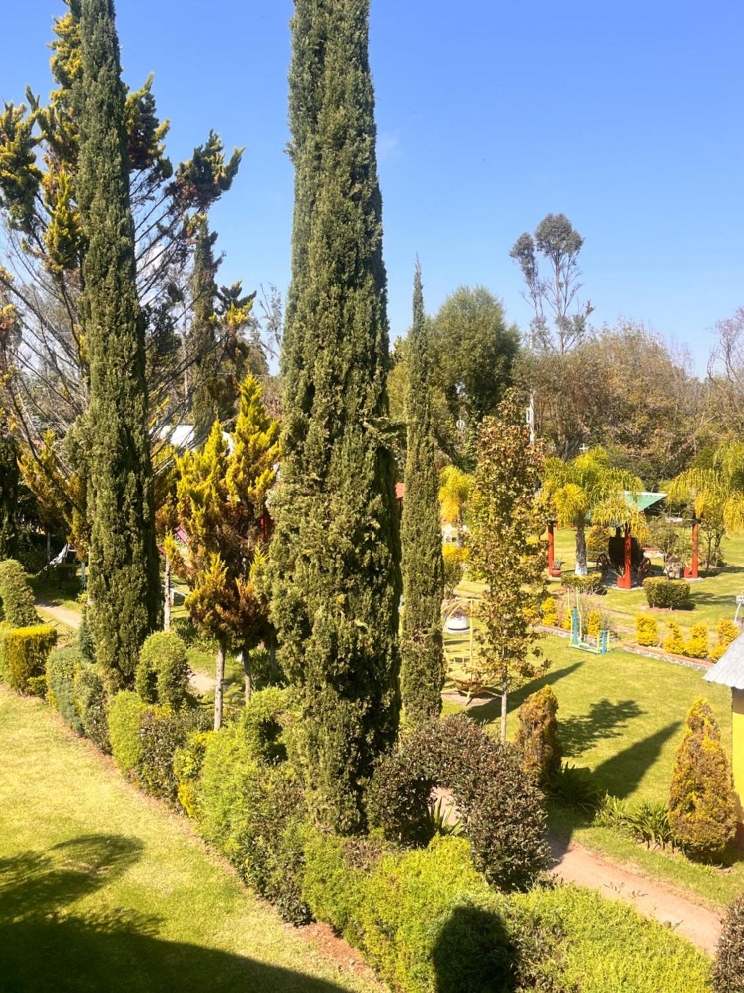 Cabanas Cumbres De Aguacatitla Huasca de Ocampo Ngoại thất bức ảnh