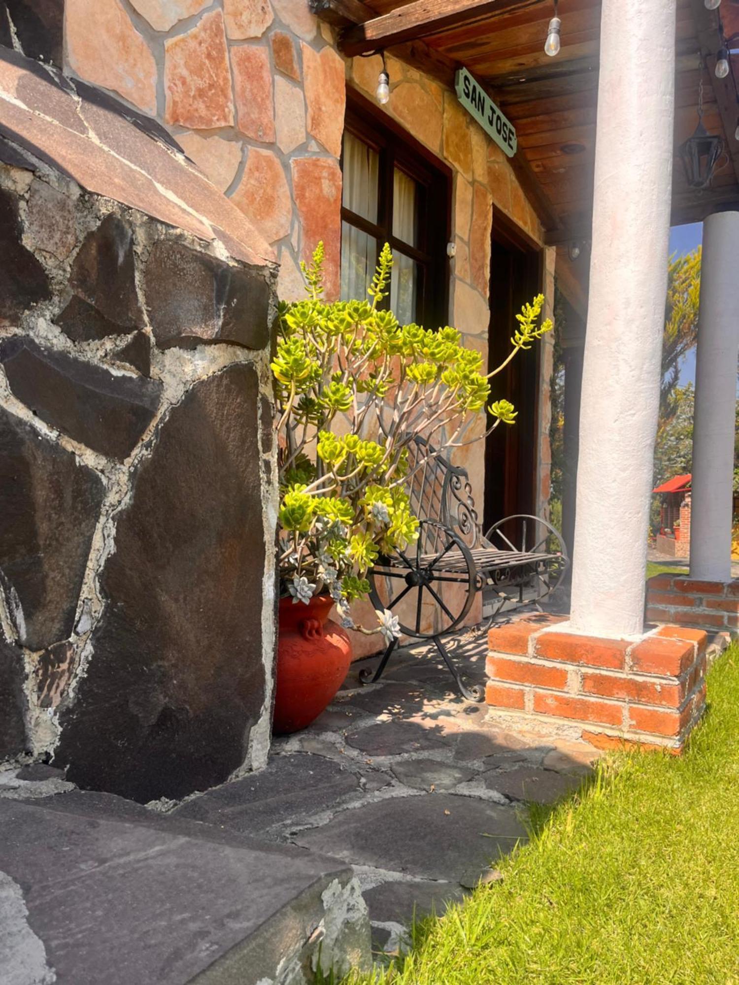 Cabanas Cumbres De Aguacatitla Huasca de Ocampo Ngoại thất bức ảnh