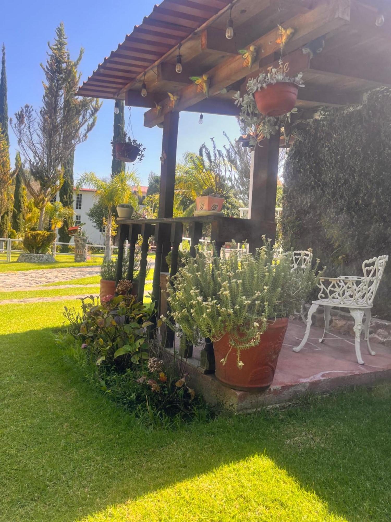 Cabanas Cumbres De Aguacatitla Huasca de Ocampo Ngoại thất bức ảnh
