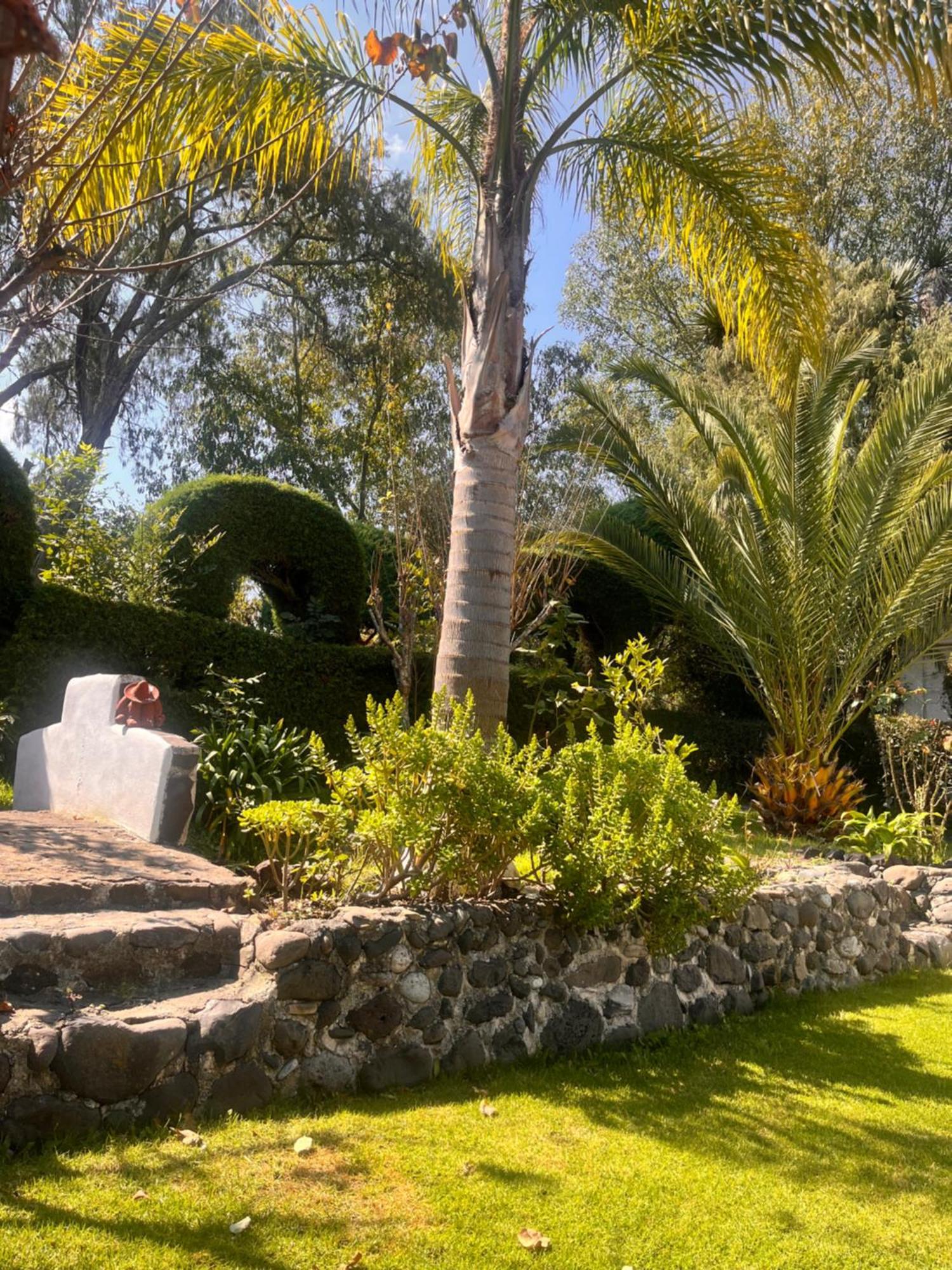 Cabanas Cumbres De Aguacatitla Huasca de Ocampo Ngoại thất bức ảnh