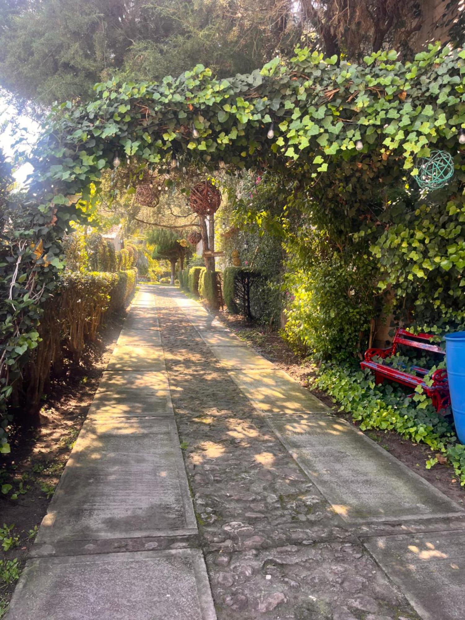 Cabanas Cumbres De Aguacatitla Huasca de Ocampo Ngoại thất bức ảnh