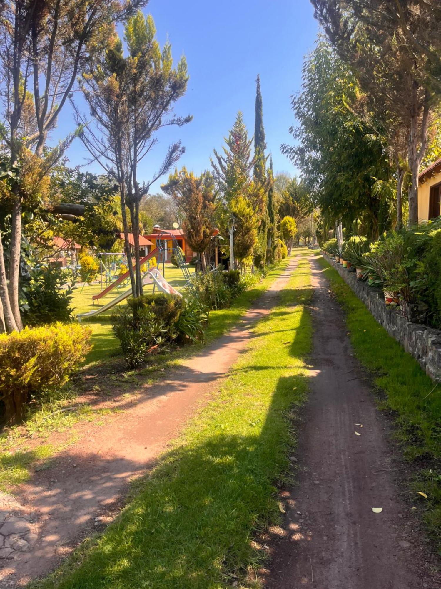 Cabanas Cumbres De Aguacatitla Huasca de Ocampo Ngoại thất bức ảnh