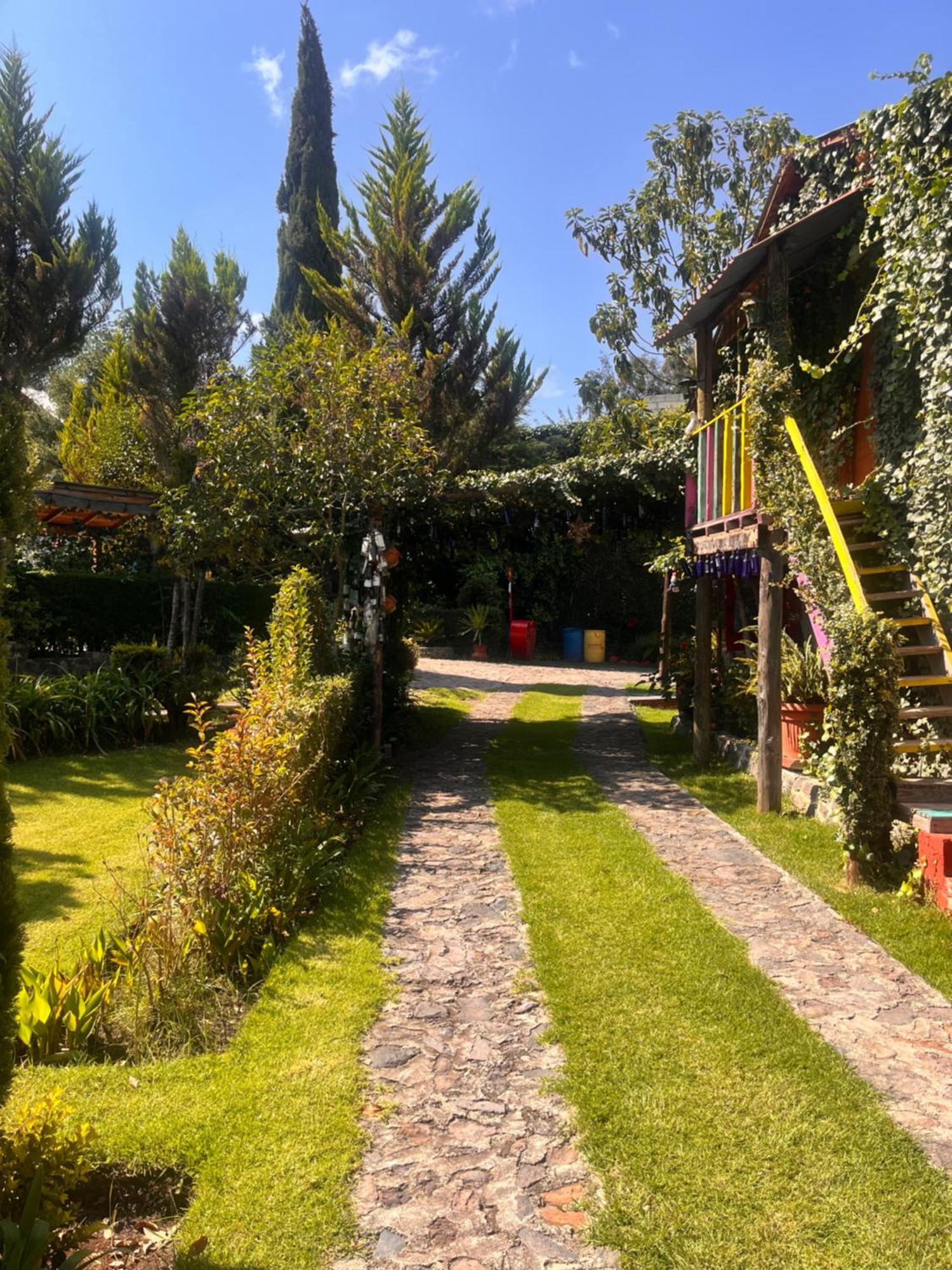 Cabanas Cumbres De Aguacatitla Huasca de Ocampo Ngoại thất bức ảnh