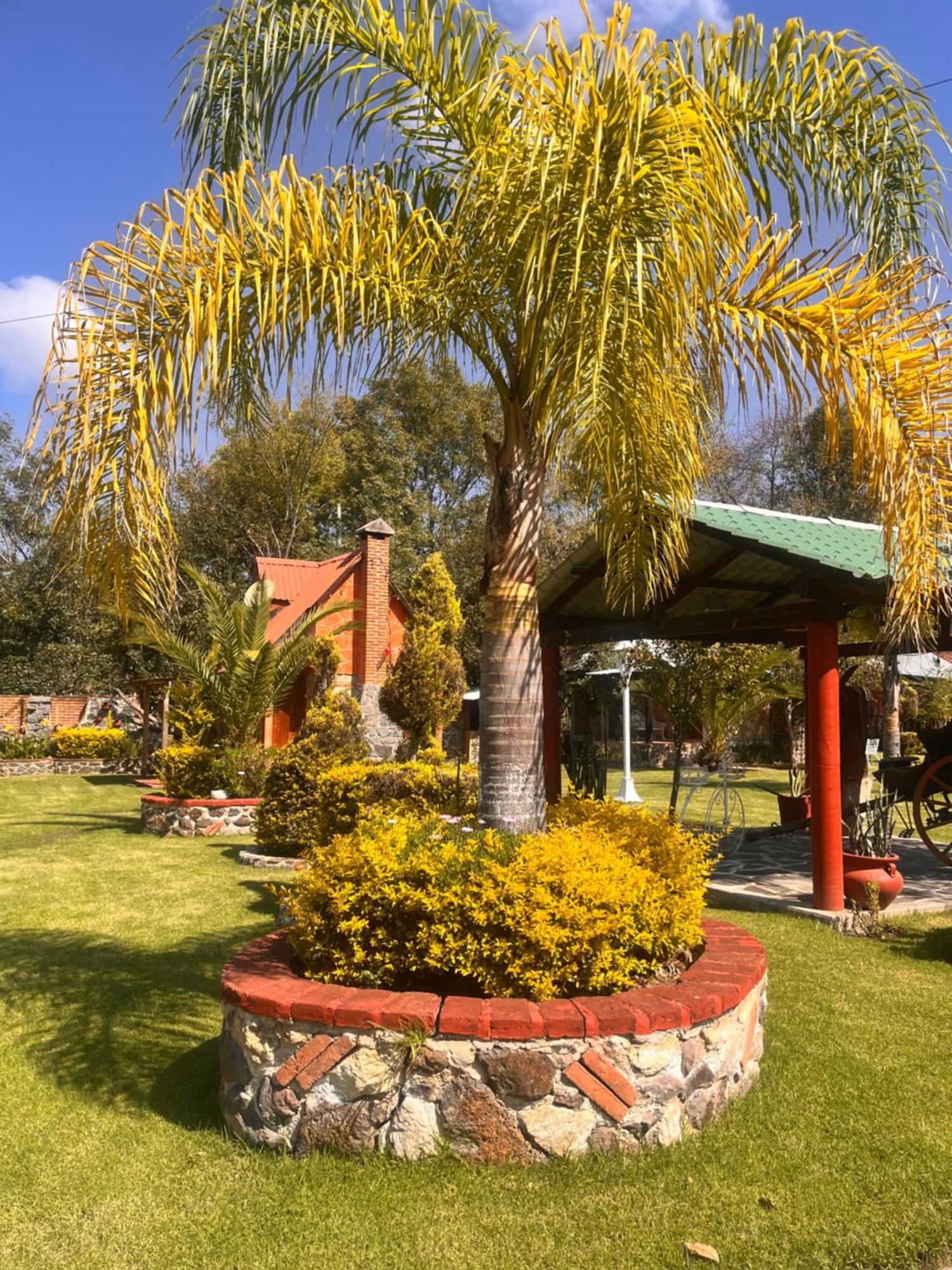 Cabanas Cumbres De Aguacatitla Huasca de Ocampo Ngoại thất bức ảnh