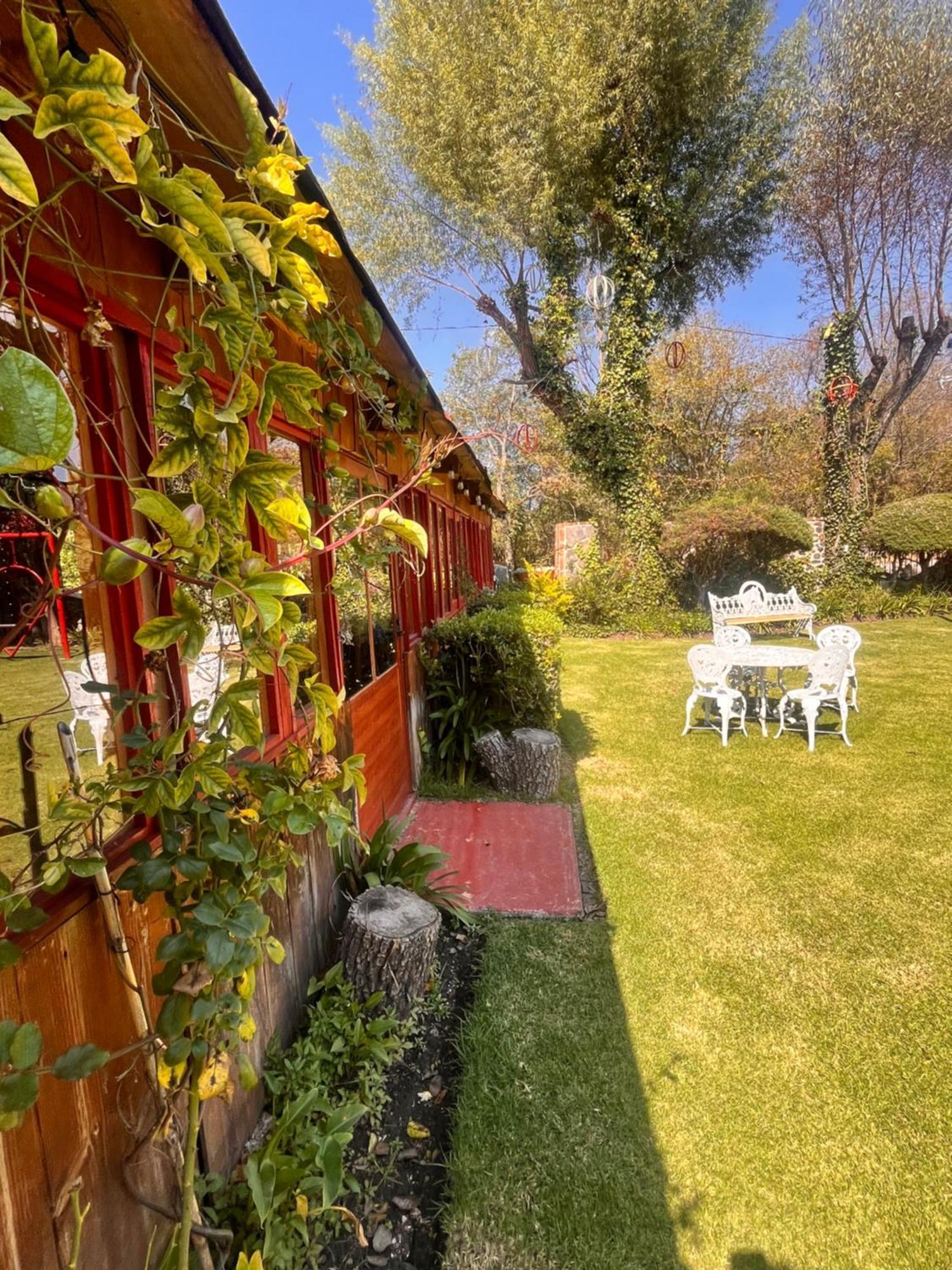 Cabanas Cumbres De Aguacatitla Huasca de Ocampo Ngoại thất bức ảnh