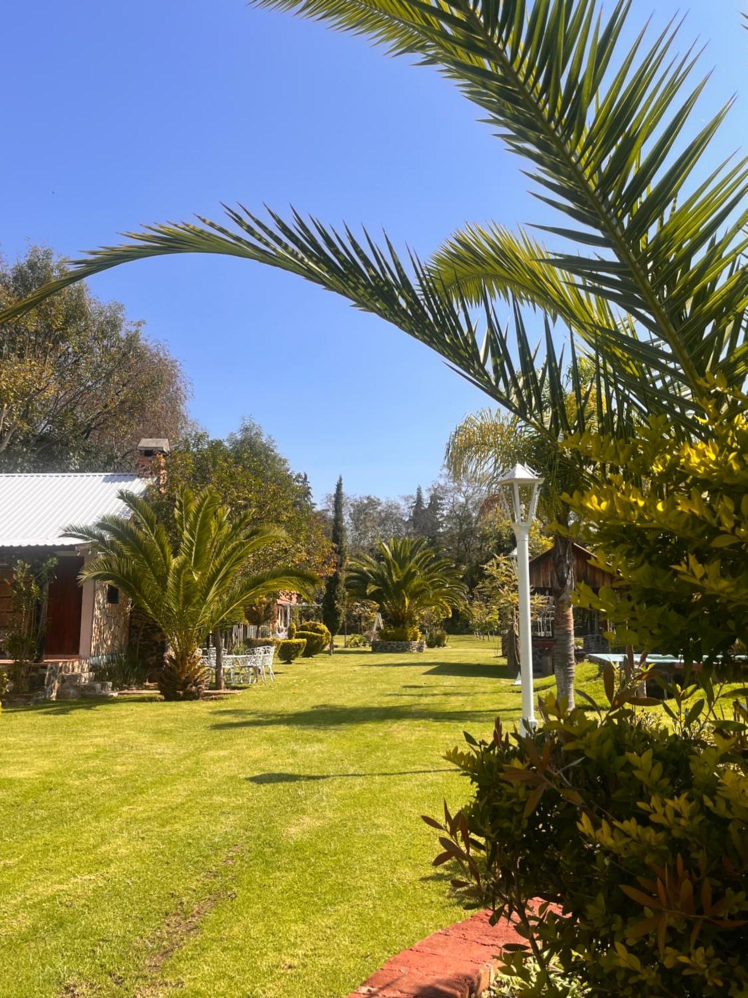 Cabanas Cumbres De Aguacatitla Huasca de Ocampo Ngoại thất bức ảnh