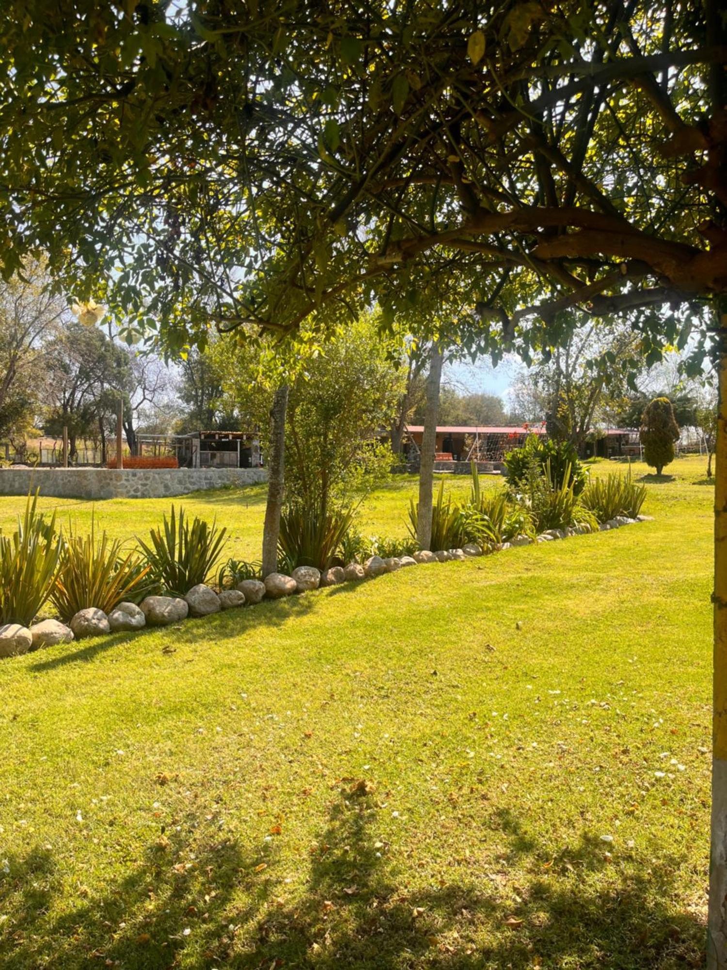 Cabanas Cumbres De Aguacatitla Huasca de Ocampo Ngoại thất bức ảnh