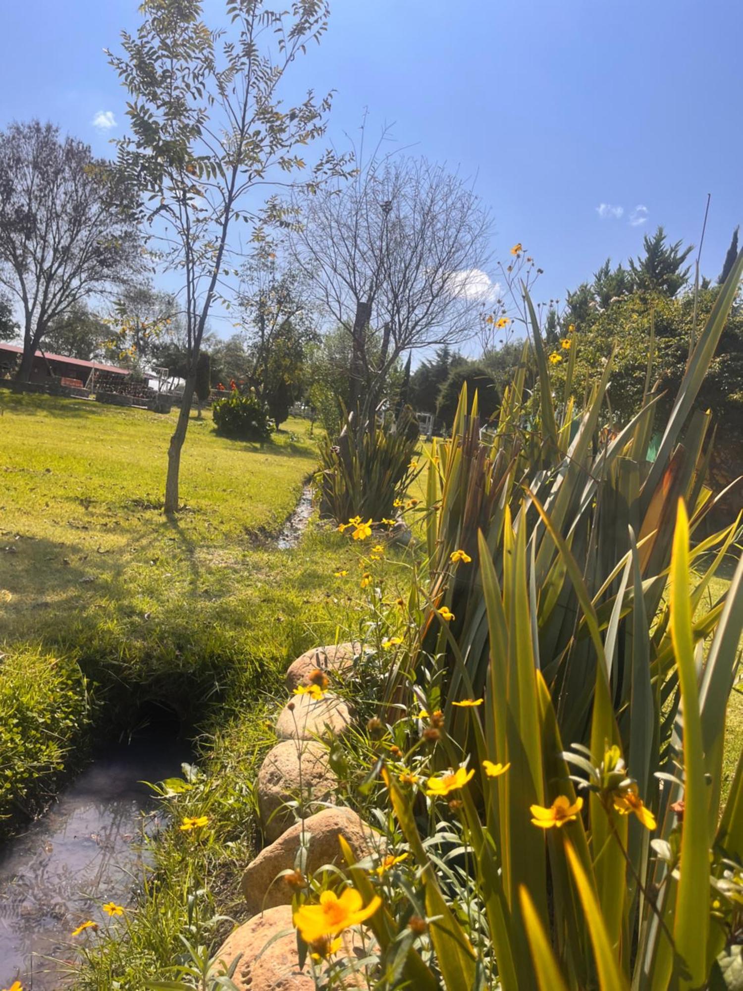 Cabanas Cumbres De Aguacatitla Huasca de Ocampo Ngoại thất bức ảnh