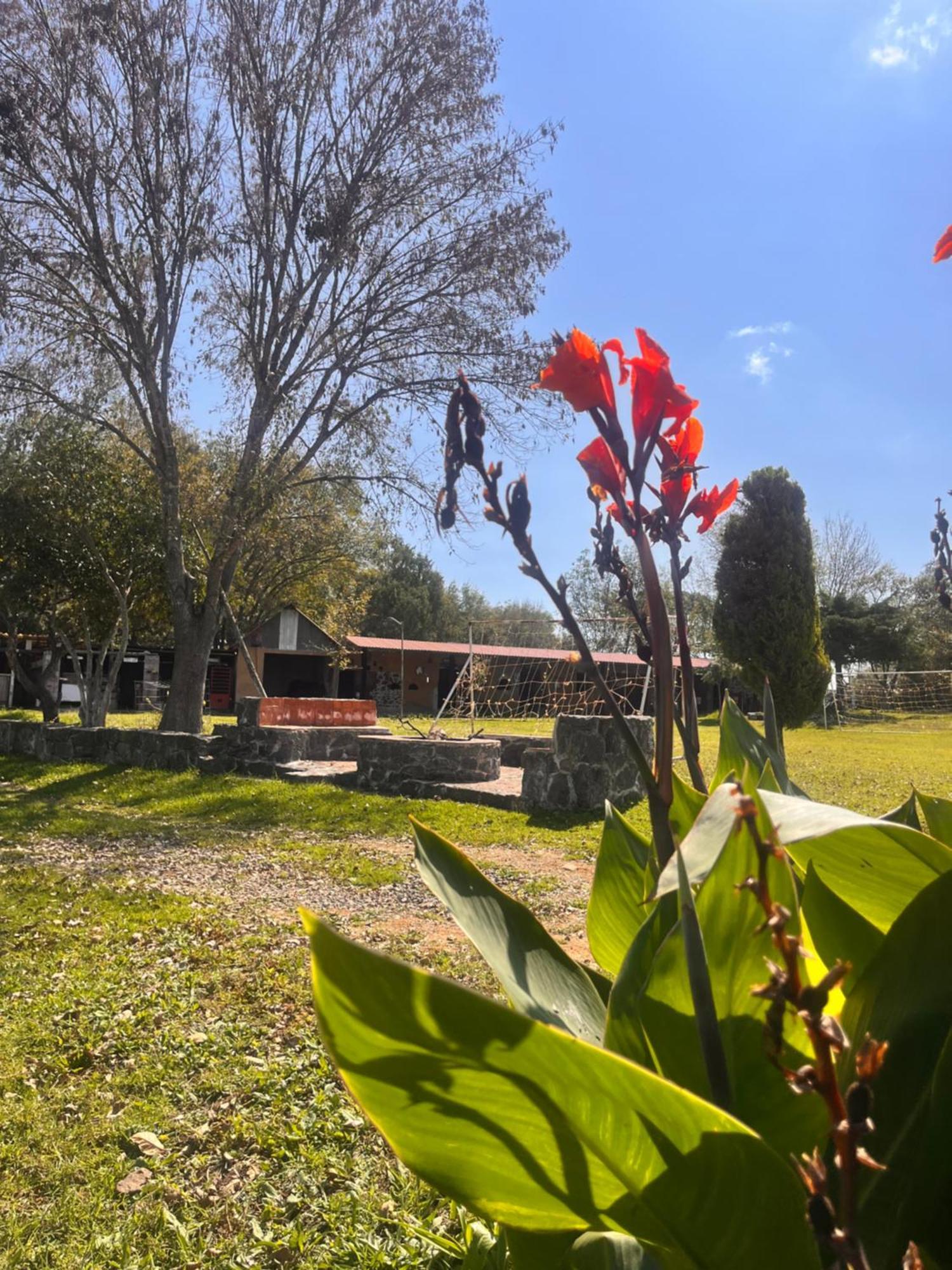 Cabanas Cumbres De Aguacatitla Huasca de Ocampo Ngoại thất bức ảnh