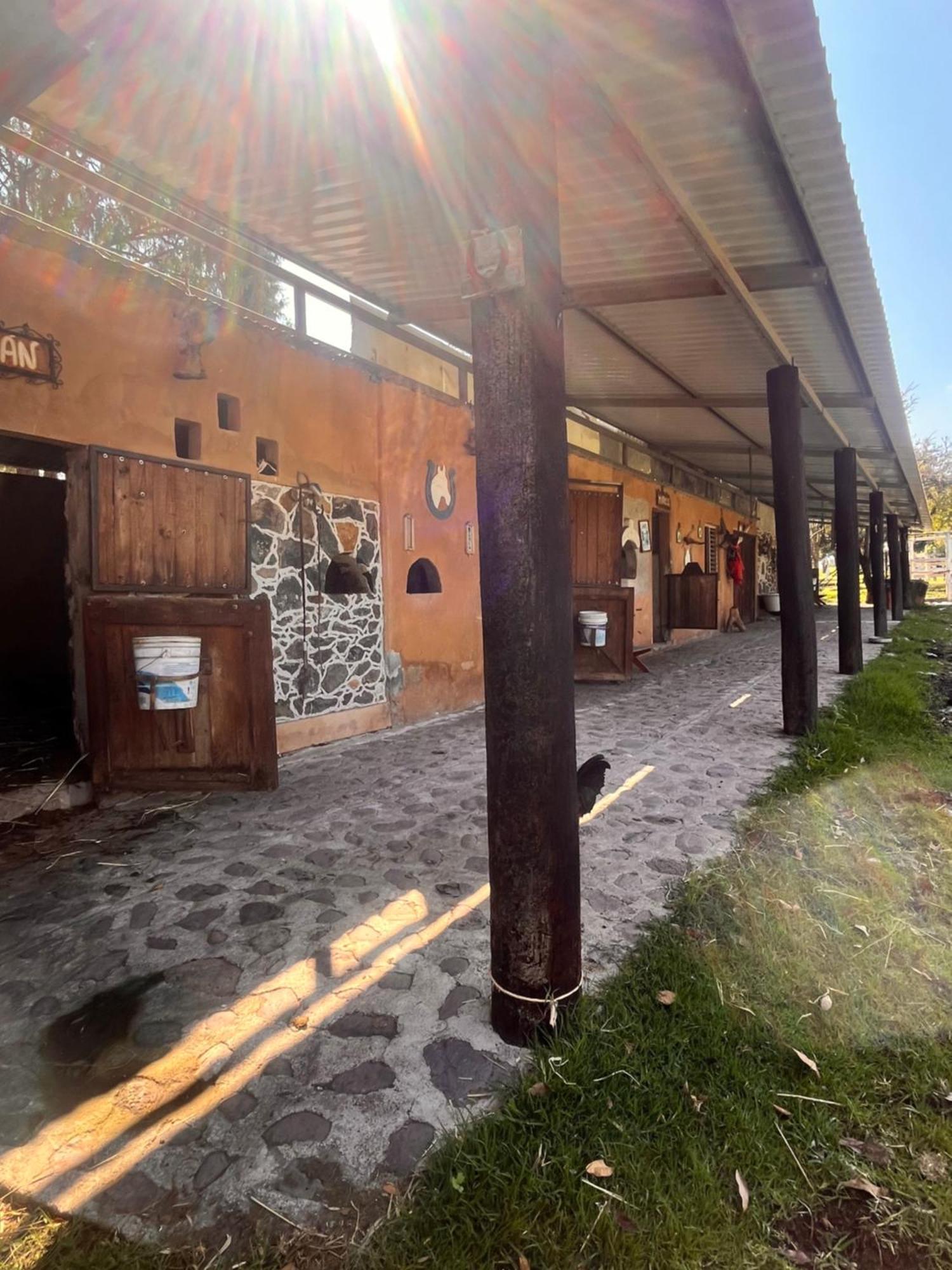 Cabanas Cumbres De Aguacatitla Huasca de Ocampo Ngoại thất bức ảnh