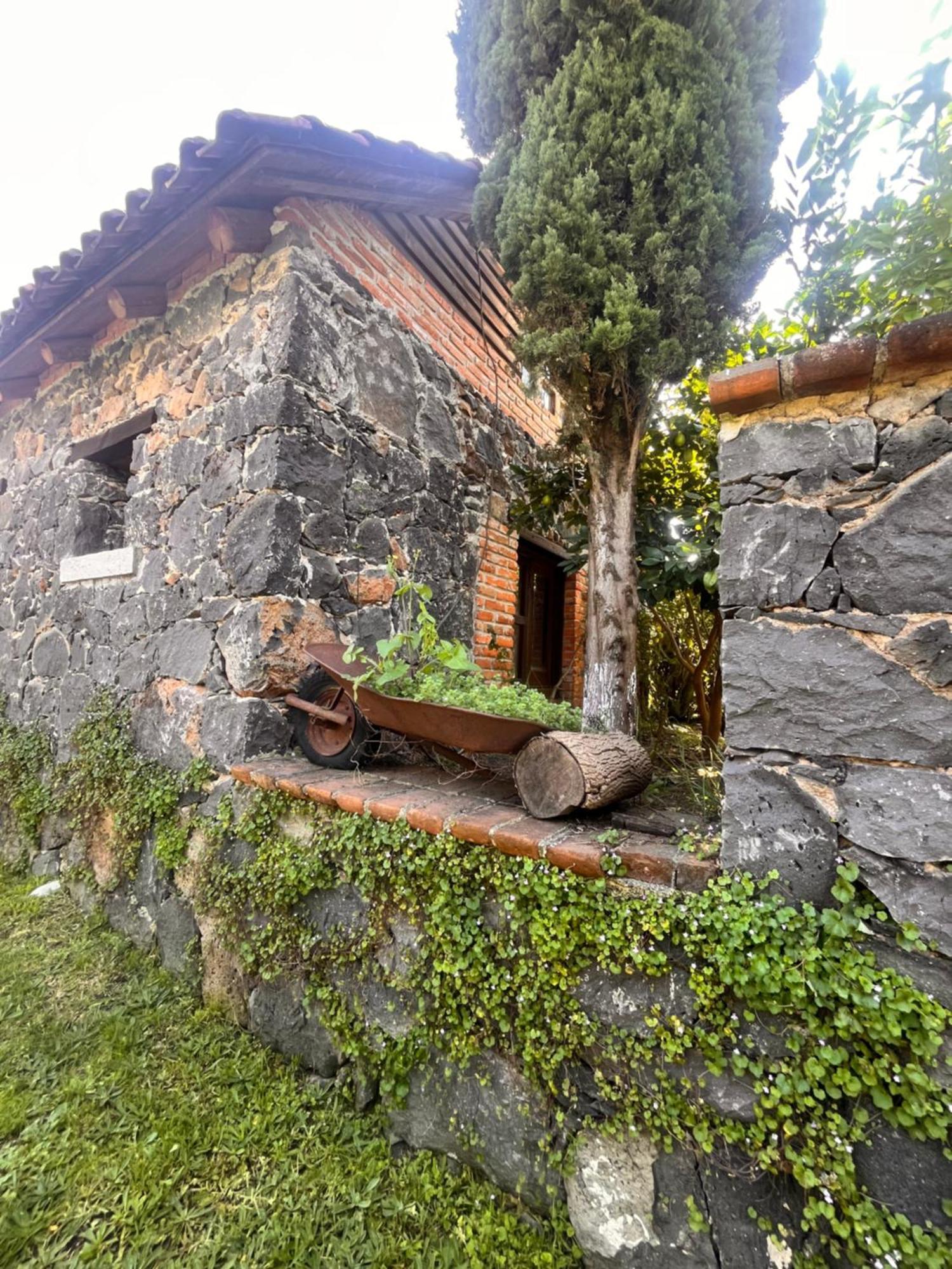 Cabanas Cumbres De Aguacatitla Huasca de Ocampo Ngoại thất bức ảnh