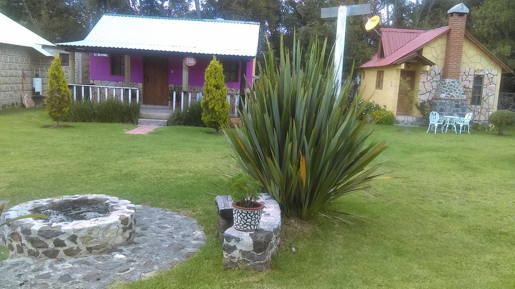Cabanas Cumbres De Aguacatitla Villa Huasca de Ocampo Ngoại thất bức ảnh